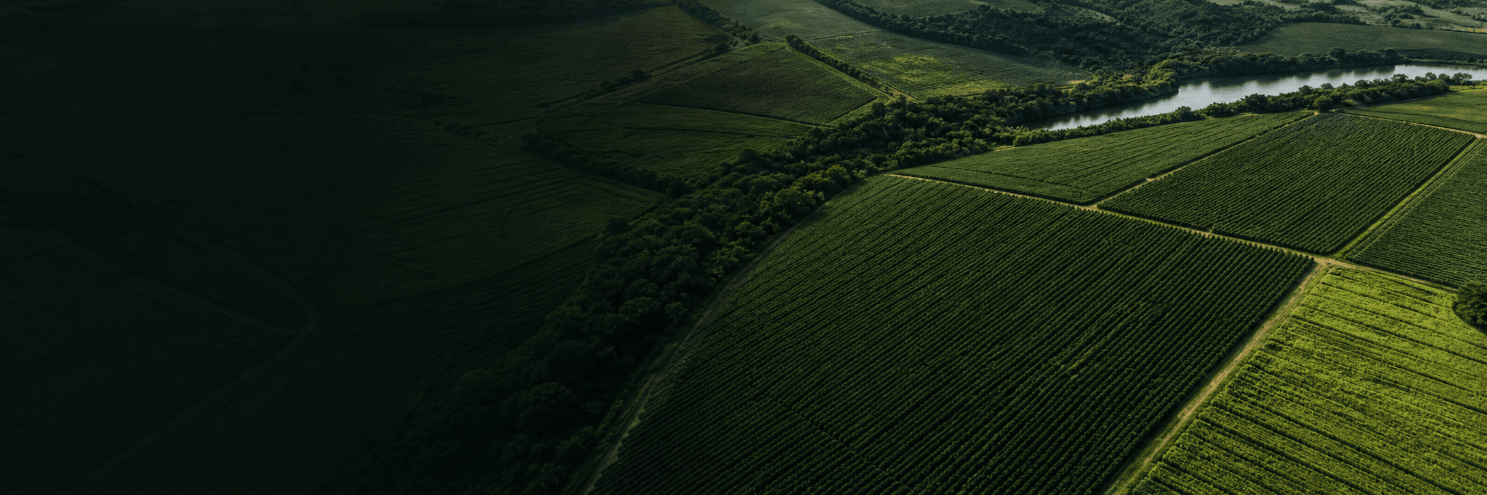 Vista aérea de talhões agrícolas